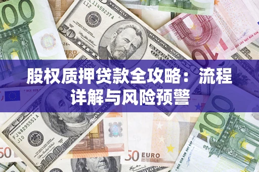 北京股权质押贷款全攻略：流程详解与风险预警