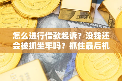 北京怎么进行借款起诉？没钱还会被抓坐牢吗？抓住最后机会！