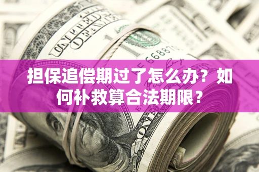 北京担保追偿期过了怎么办？如何补救算合法期限？