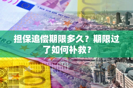 北京担保追偿期限多久？期限过了如何补救？