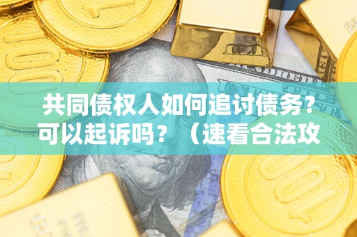 北京共同债权人如何追讨债务？可以起诉吗？（速看合法攻略）