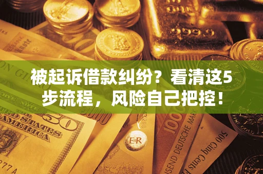 北京被起诉借款纠纷？看清这5步流程，风险自己把控！