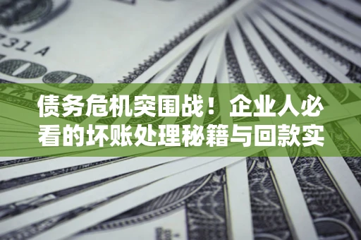 北京债务危机突围战！企业人必看的坏账处理秘籍与回款实战指南
